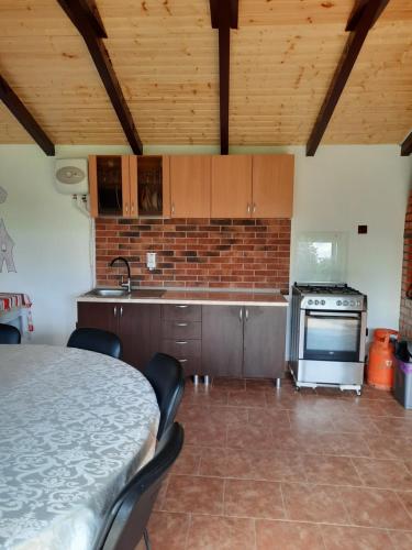 a kitchen with a sink and a stove in it at Pensiunea Ana-Maria in Polovragi