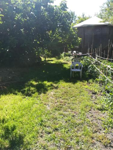 a yard with a chair sitting in the grass at AFFITTA CAMERE CASA DELLE ROSE in Villanova Monteleone