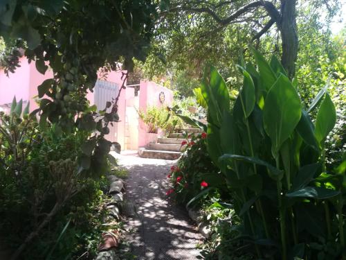 a garden path leading to a pink house at AFFITTA CAMERE CASA DELLE ROSE in Villanova Monteleone
