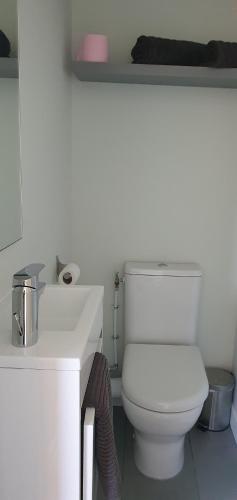 a bathroom with a white toilet and a sink at Hôtel restaurant du Commerce in Poulainville