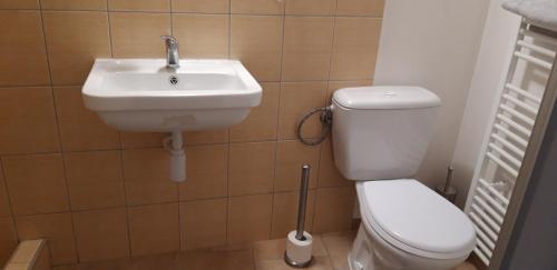 a bathroom with a toilet and a sink at Ubytovanie v Banskej Štiavnici u Antalov in Banská Štiavnica