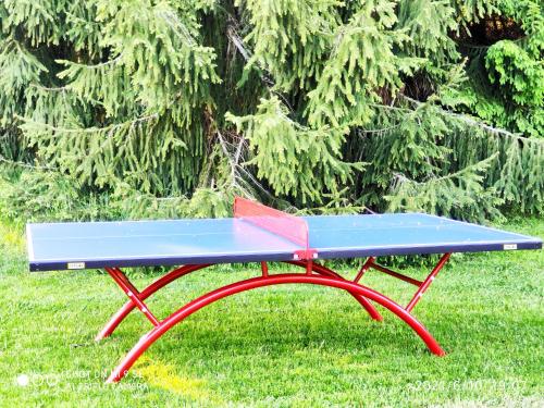 Stolní tenis v ubytování Vila Jensen nebo okolí