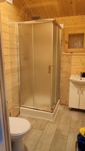 a bathroom with a shower and a toilet and a sink at Zofia in Grzybowo