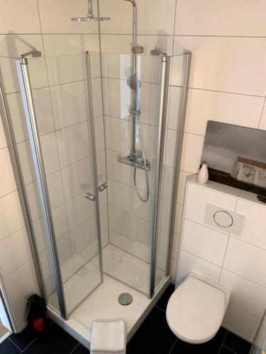 ein Bad mit einer Dusche und einem WC in der Unterkunft Glücks-Quartier "Waldhufe 1" in Bad Liebenzell