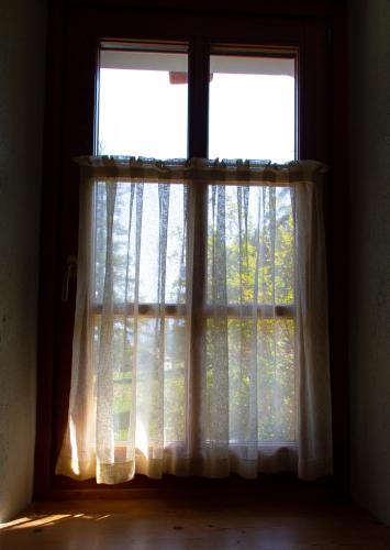 a window with a view of a forest at Villa Fridau resort in Gressoney-Saint-Jean