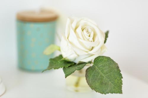 a white rose in a vase with a candle at La Tour de la Conterie in Beaumont-Village