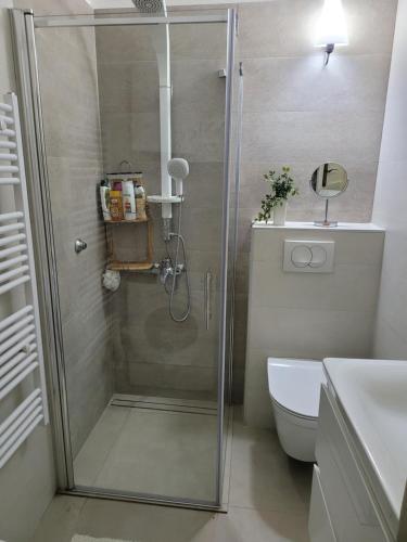 a shower with a glass door in a bathroom at Apartment Elanda Downtown in Zadar