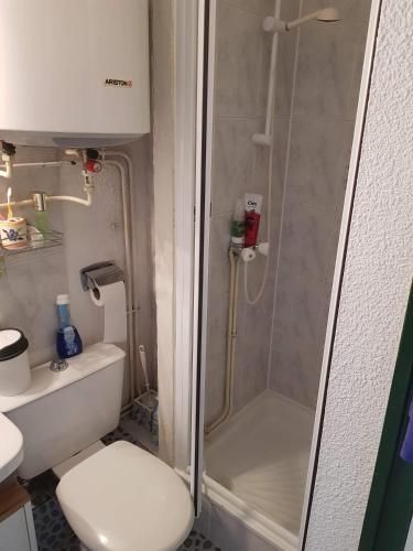 une petite salle de bain avec douche et toilettes dans l'établissement STUDIO CURISTES, à Lamalou-les-Bains