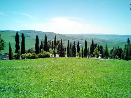 a field of green grass with trees on a hill at Agriturismo Collomici in Celle sul Rigo