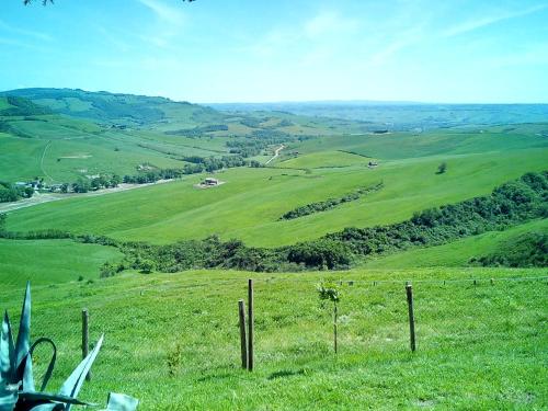 a view of a green field with a fence at Agriturismo Collomici in Celle sul Rigo
