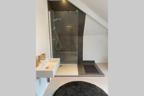 La salle de bains est pourvue d'une douche et d'un lavabo. dans l'établissement Moderne loft in historisch pand, à Gand