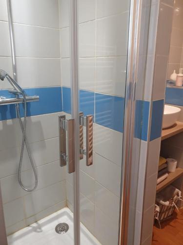 une douche avec une porte vitrée dans une salle de bain dans l'établissement Le triangle d or, à Bordeaux