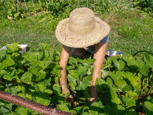 a woman wearing a straw hat in a garden at B&B Sant'Anna 21 in Monforte dʼAlba