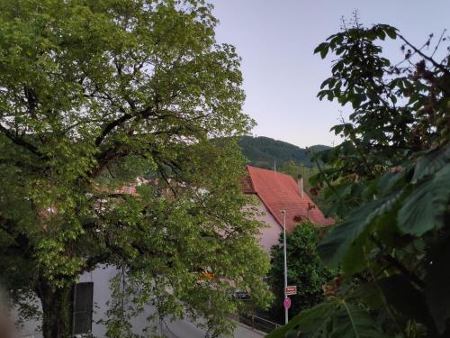 a tree in front of a white building with roofs at Ferienwohnungen und Zimmer in Reutlingen-Gönningen in Reutlingen