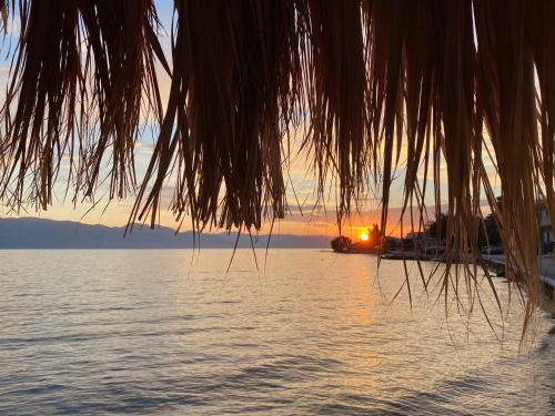 a sunset over a body of water with a palm tree at Rania's House in Methana