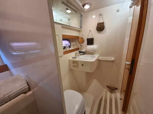 a small bathroom with a toilet and a sink at BOAT APPART TITANIC Cherbourg motor yacht à quai ROSE STAR in Cherbourg en Cotentin