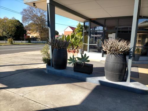 three potted plants sitting on a curb in front of a store at Country Motor Inn in Singleton