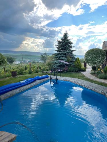 a large swimming pool with blue water at Wineyards Salin in Turda
