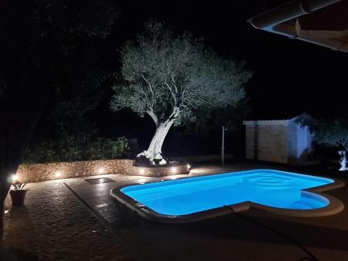 Πισίνα στο ή κοντά στο Villa Paula