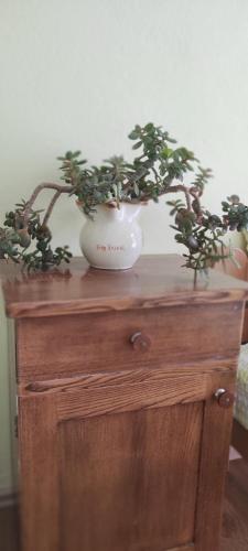 a plant in a white vase on a wooden dresser at Sea breeze Apartments with boat Anchorage in Stara Novalja