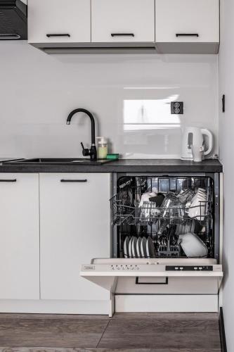 a kitchen with a dishwasher with dishes in it at Silva in Rewal