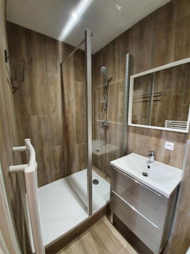 une salle de bain avec douche et lavabo dans l'établissement Joli studio à deux pas de la place du forum, à Arles