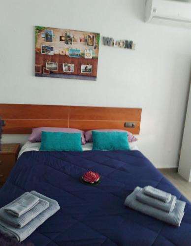 Estudio Playa del Cura
