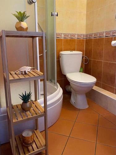 a bathroom with a toilet and a bath tub at Willa Nova in Wisła