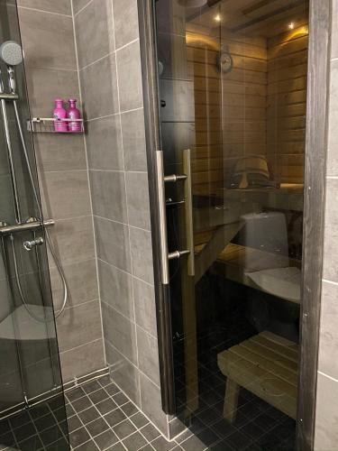 uma casa de banho com um chuveiro e um lavatório. em Revontuli 6 em Syöte