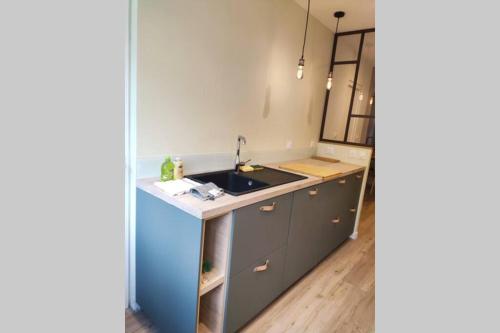 a kitchen with a sink and a counter top at Appartement 3 chambres, 3 salles d'eau in Saint-Herblain