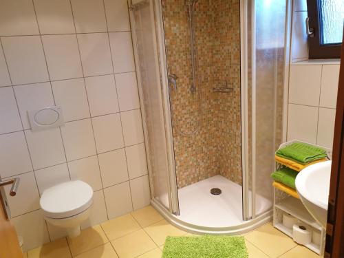 e bagno con doccia, servizi igienici e lavandino. di Ferienwohnung Hügelhaus a Plütscheid