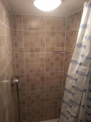 a bathroom with a shower with a shower curtain at Twins House - Dorka Apartman in Bogács