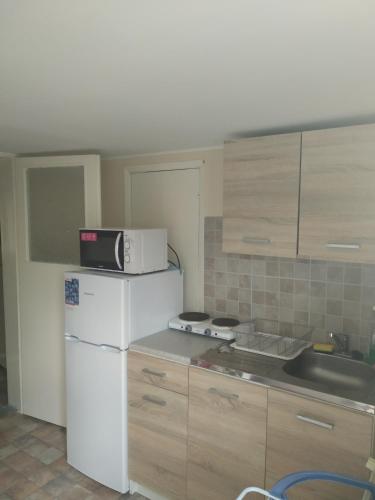 a kitchen with a microwave on top of a refrigerator at Twins House - Dorka Apartman in Bogács