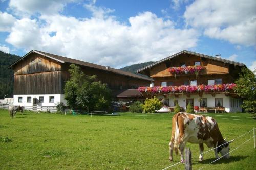 Tischlerhof – Photos 2
