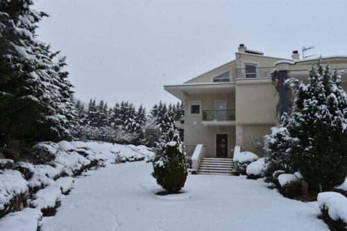 Villa in Elassona-Βίλα στην Ελασσόνα v zimě