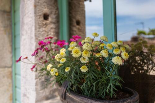 Gallery image of Parona Holiday Home in Vrbnik
