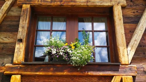 a window with a bunch of flowers in it at Country house Dovje in Dovje