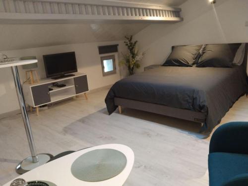 1 dormitorio con 1 cama, TV y sofá en Lou calado, en Fayence