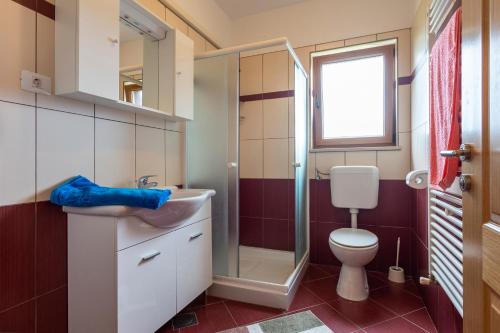 een badkamer met toilet, wastafel en douche bij Villa Mirela with a comfortable garden and pool in Grandići