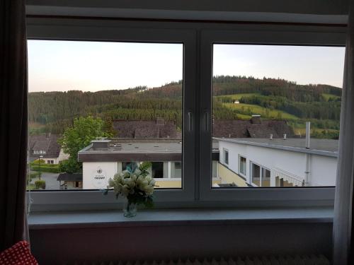 a window with a vase of flowers on a window sill at Berghotel Natura Bed & Breakfast in Winterberg