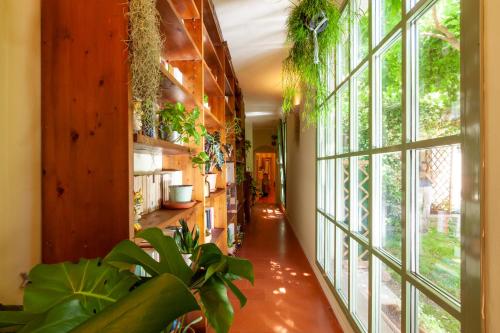Fotografie z fotogalerie ubytování Secret Garden Firenze B&B ve Florencii
