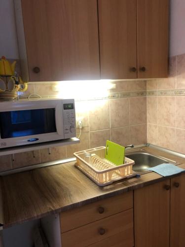 Kuchyň nebo kuchyňský kout v ubytování Lellei vízparti apartman homokos strandnál