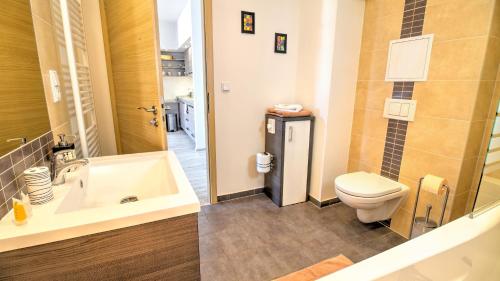 a bathroom with a sink and a toilet and a shower at Boromeum Residence in Hradec Králové