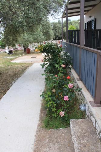 a bush with pink roses next to a fence at Chloe Apartments in Tsoukaladhes