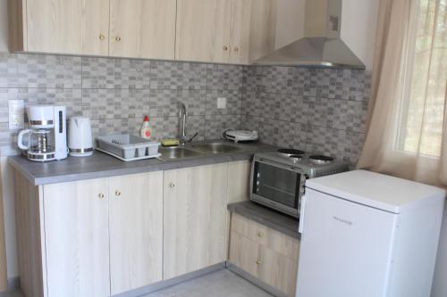 a kitchen with a sink and a microwave at Chloe Apartments in Tsoukaladhes
