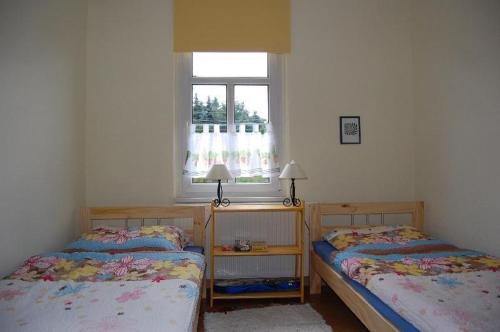 a bedroom with two beds and a window at Ferienwohnung-zur-Eselsbruecke in Rathmannsdorf