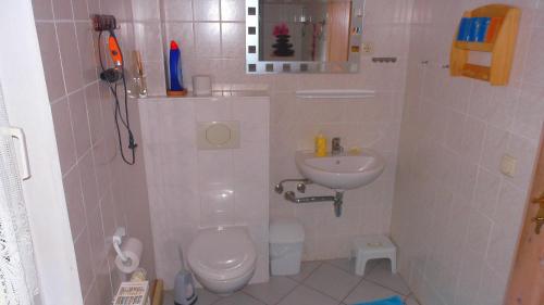 a small bathroom with a toilet and a sink at Ferienwohnung-zur-Eselsbruecke in Rathmannsdorf