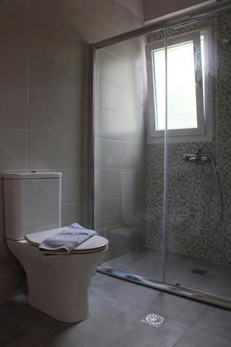 a bathroom with a shower with a toilet and a glass shower door at Chloe Apartments in Tsoukaladhes