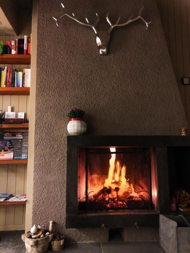 a fireplace with a fire in it at Magnifique Maison près du centre in Nendaz