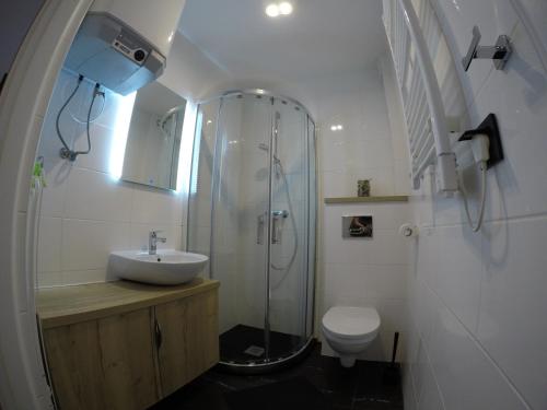 クリニツァ・モルスカにあるApartHotel Gdanska14のバスルーム(シャワー、洗面台、トイレ付)